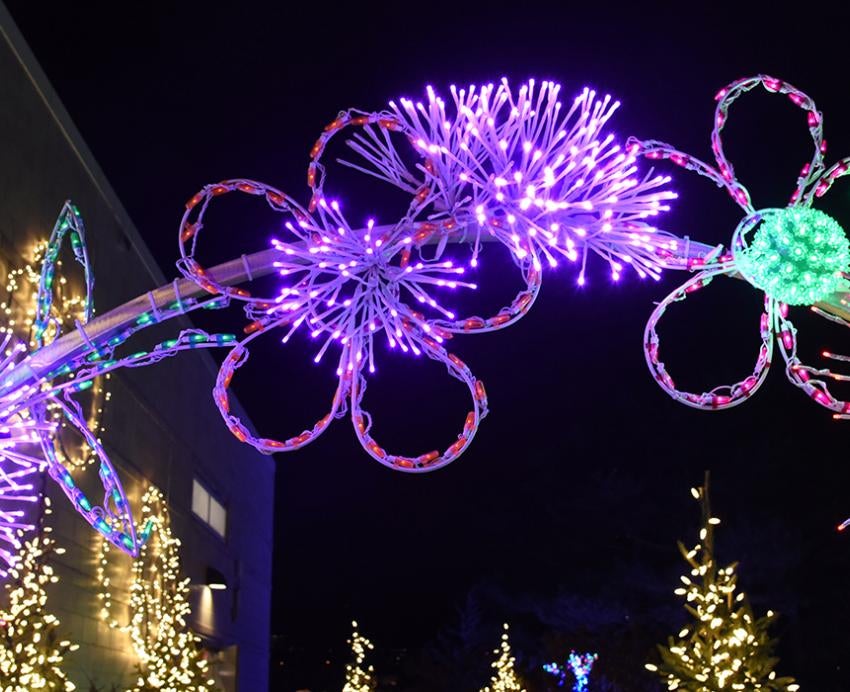 An arch of purple and green Holiday lights in the shape of flowers