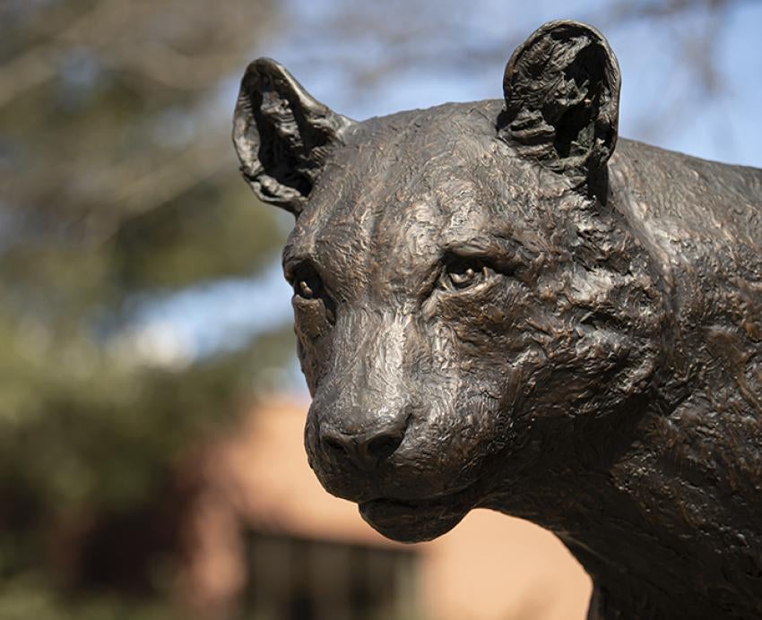 Panther statue on Pitt Bradford campus