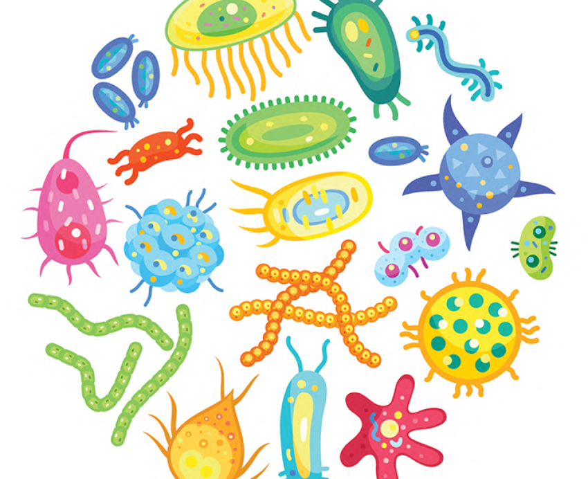 Colorful illustration of microorganisms