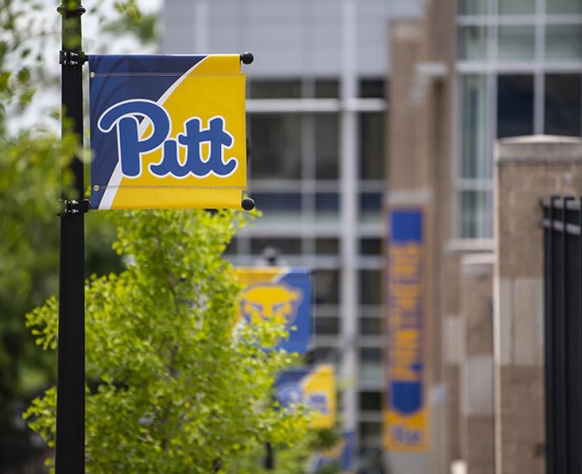 Pitt banners on campus 