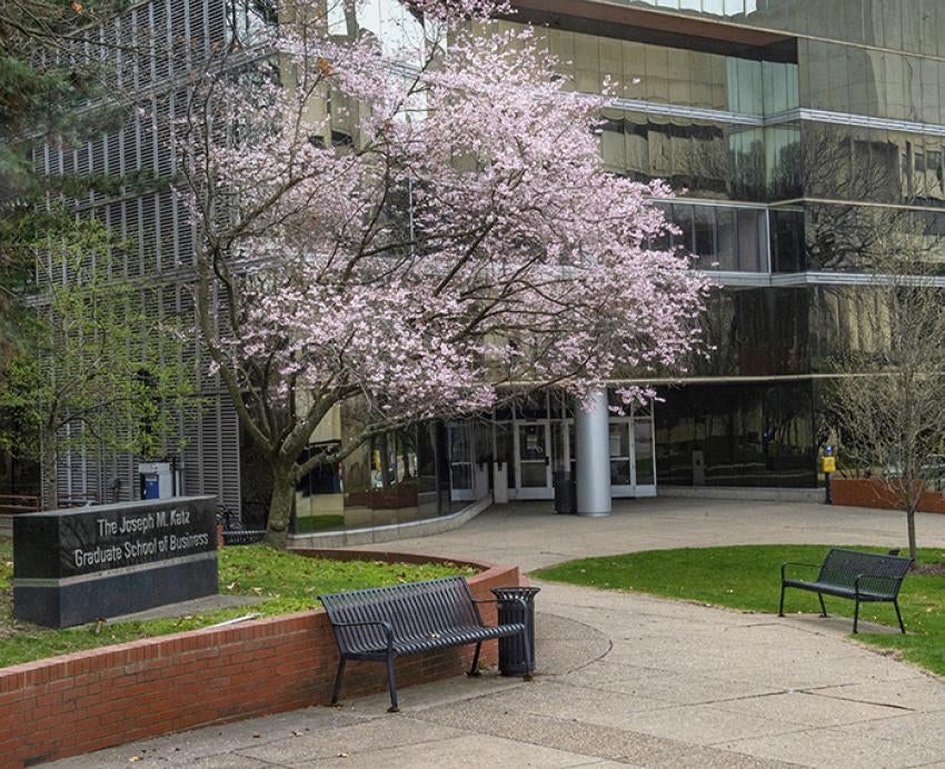 Cherry blossom outside Mervis hall and the Joseph M Katz Graduate School of Business