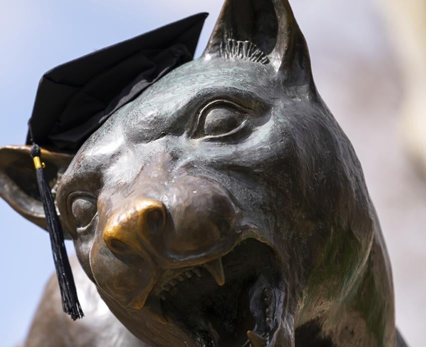 Panther statue with graduation cap