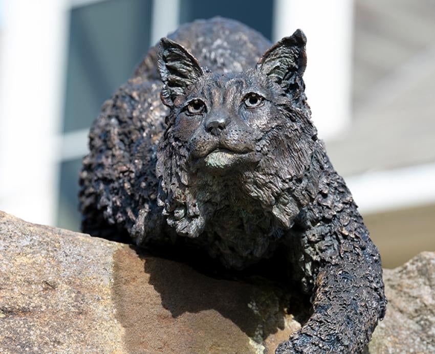 a bobcat statue
