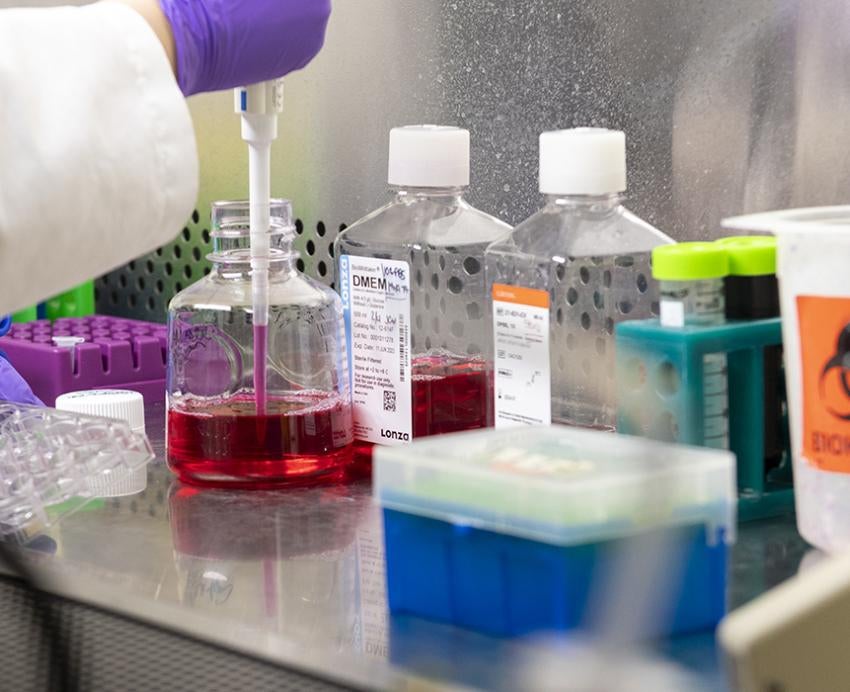 Chemicals sit on a lab table as gloved hands pipette red liquid from one of the bottles
