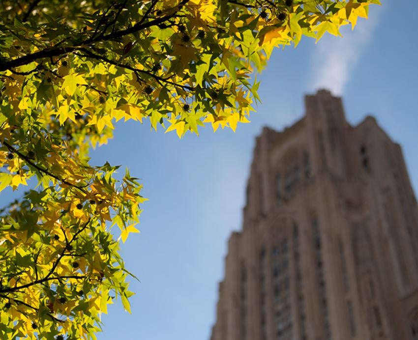 Leaves in front of the Cathedral of Learning