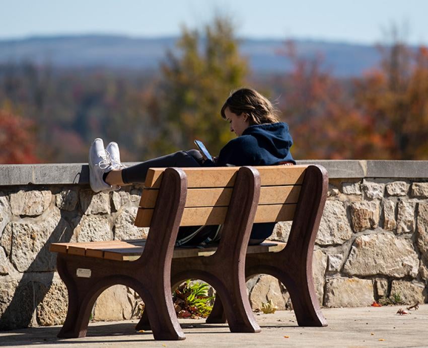 A person sits on a bench looking at a phone