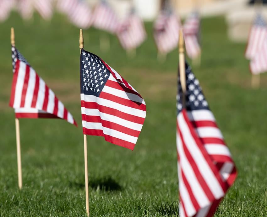 Rows of American flags in the grass