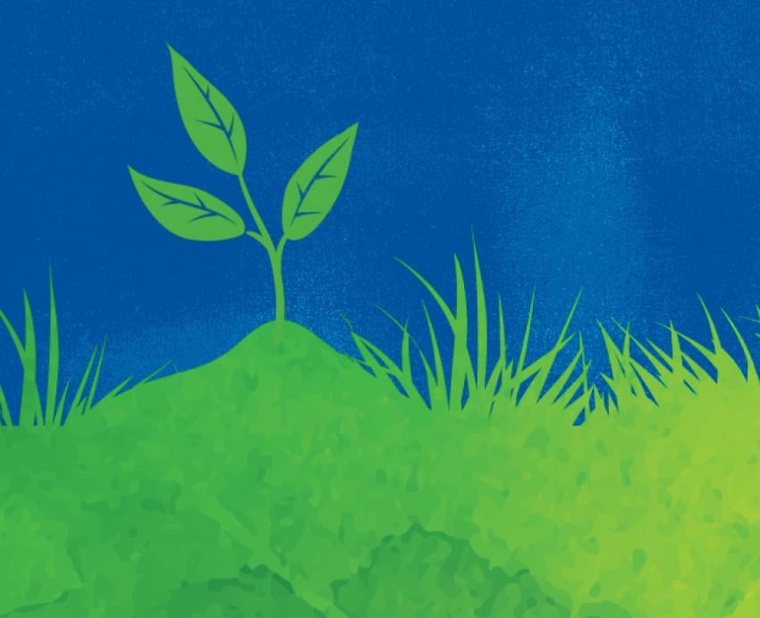 green grass and a seedling on a blue background