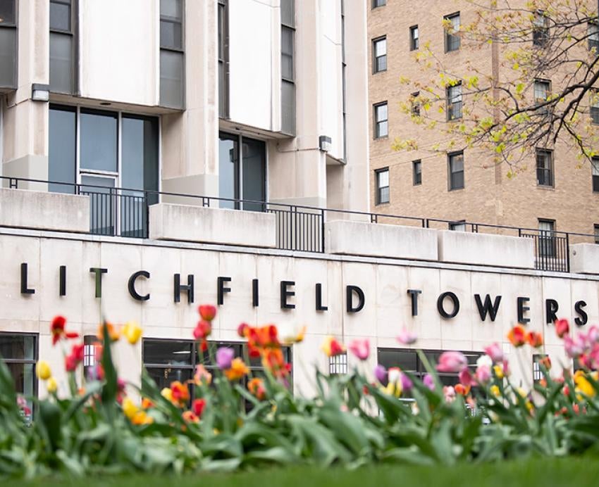 Tulips in front of Litchfield Towers on the Pittsburgh campus