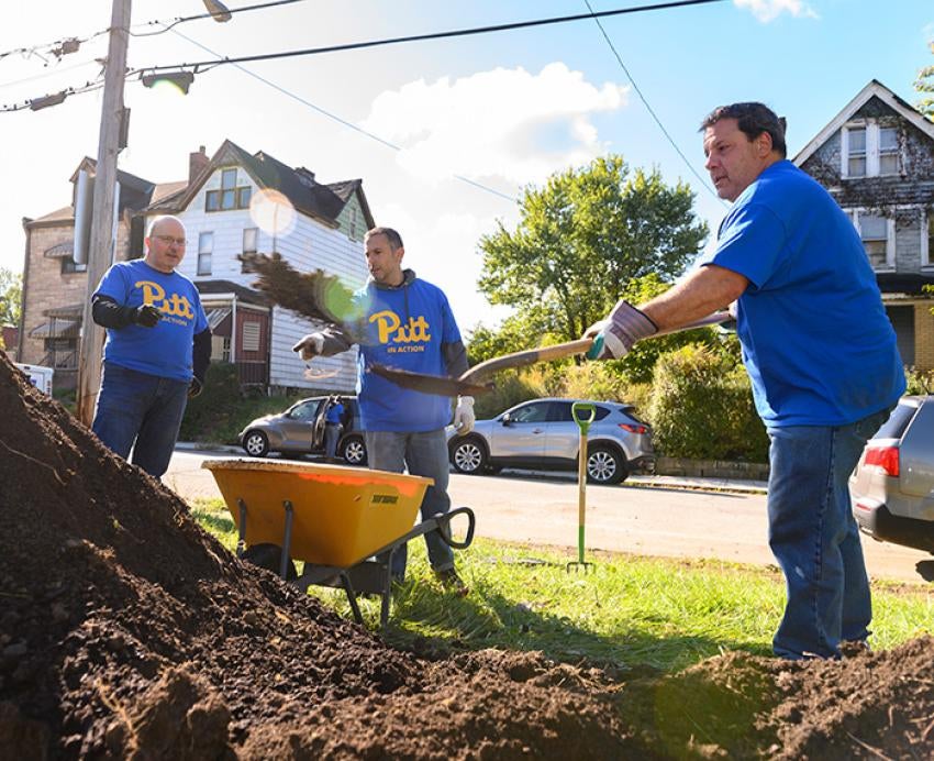 Three people in blue Pitt shirts shovel mulch into an orange wheelbarrow