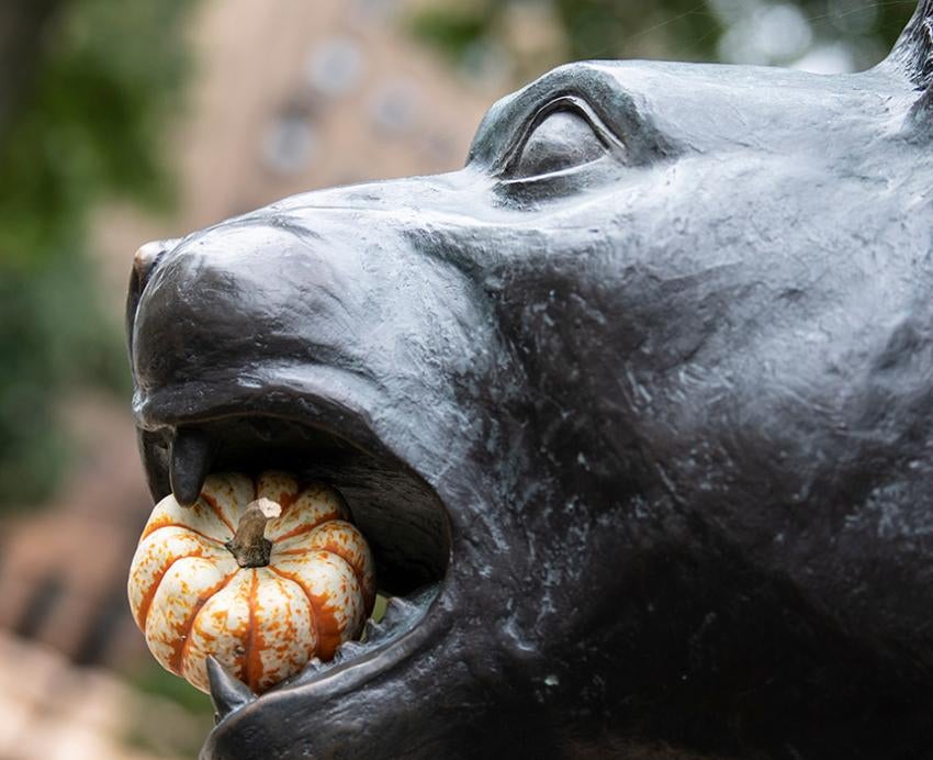A panther statue holds a pumpkin in its mouth