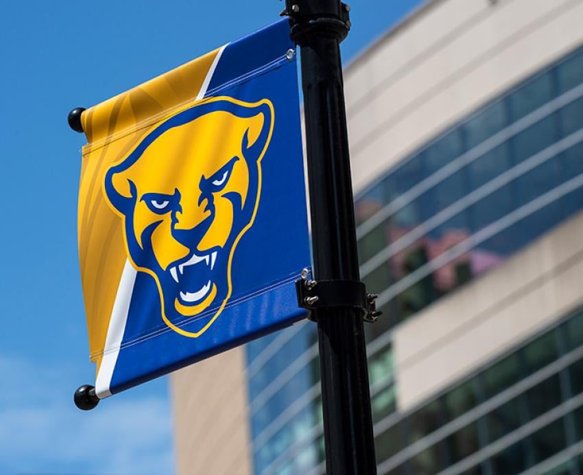 A panther logo on a blue and yellow flag