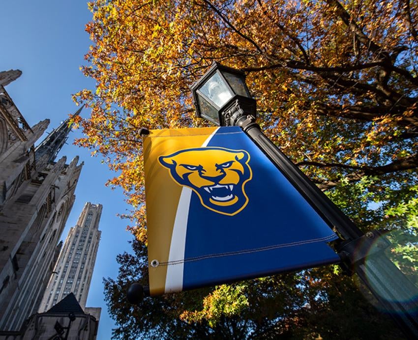A flag with a panther logo on the Pitt campus