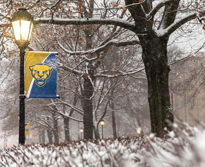 A Panther logo flag hangs from a lamppost on a snowy day