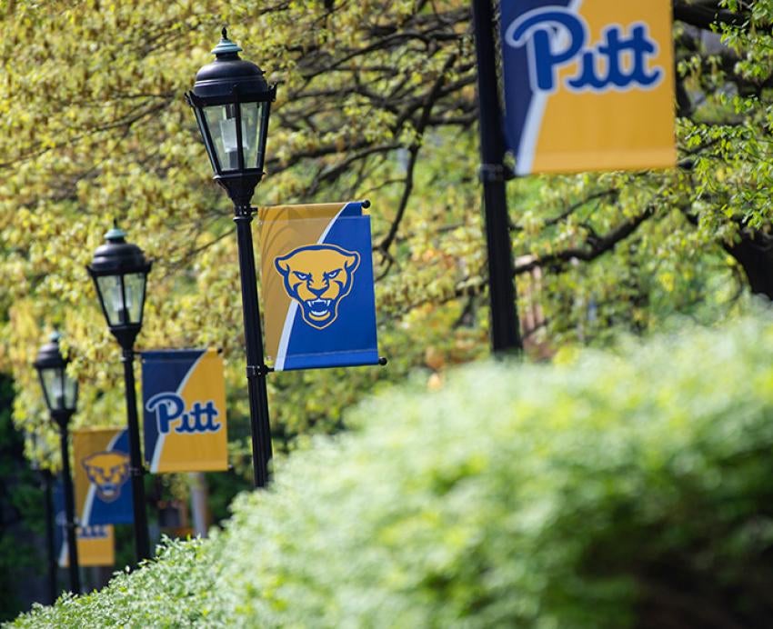Blue and gold flags show the Pitt script and Panthers logo on alternating lampposts