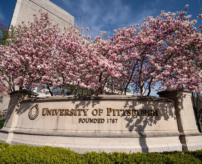 Pink blossoming trees around the University of Pittsburgh sign