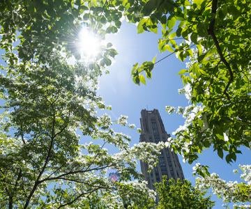 The sun and the Cathedral of Learning show between tree branches