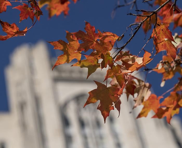 Fall leaves with Cathedral of Learning in background