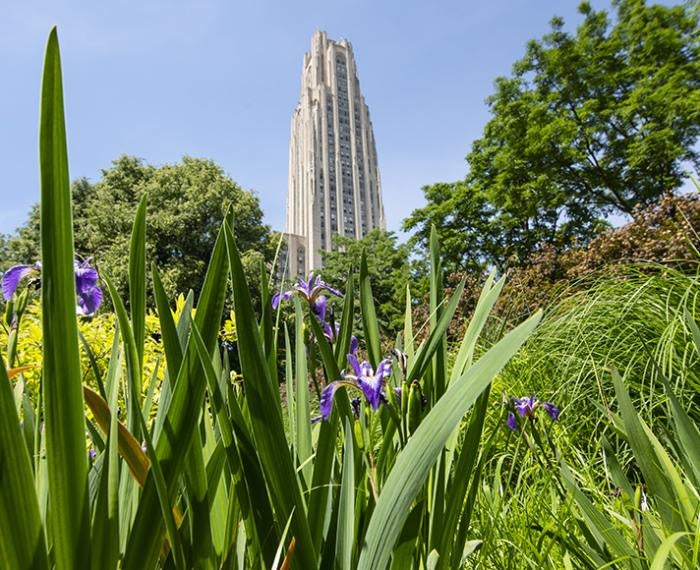 Cathedral of Learning behind trees and greenery