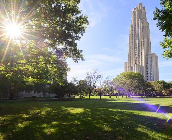 Cathedral of Learning lawn with sunlight shining down through the trees