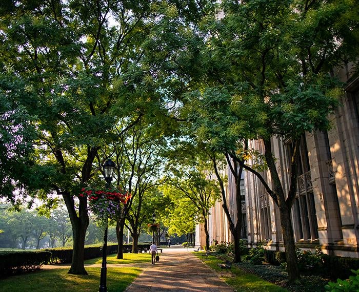 Sun shining through trees on campus next to Cathedral of Learning