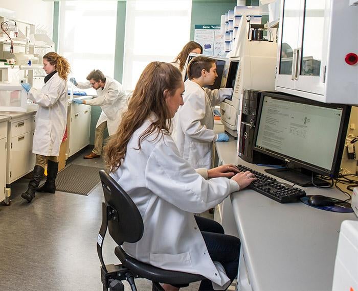 five people in white coats hard at work in a lab