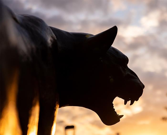 a Panther statue at sunset