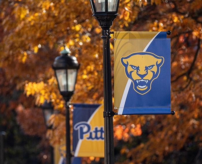 two flags on campus, one with "Pitt" and another with the Panther logo