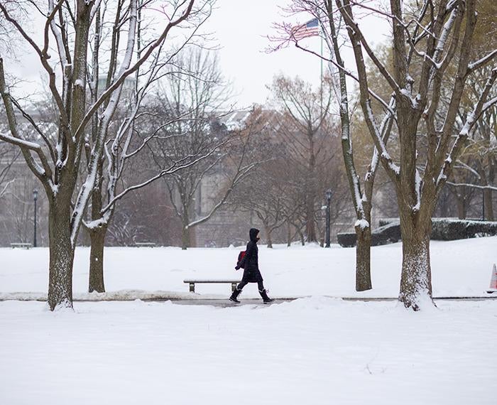A person in a black jacket walks on a snowy day