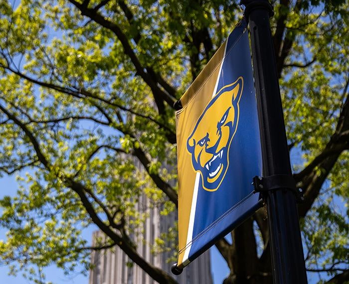A blue and yellow flag with a yellow panther logo