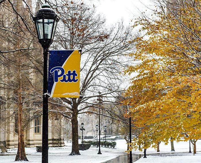 A Pitt script flag on a lamppost beside a snowy path