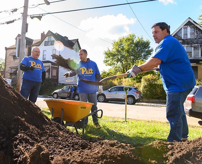 Three people in blue Pitt shirts shovel mulch into an orange wheelbarrow