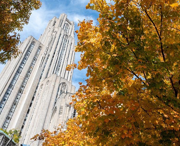 The Cathedral of Learning behind trees