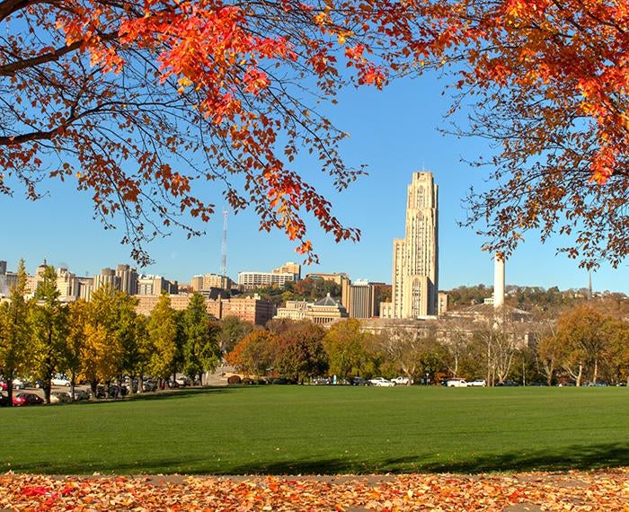 Pitt's campus and the Cathedral of Learning sit beyond Schenley Park