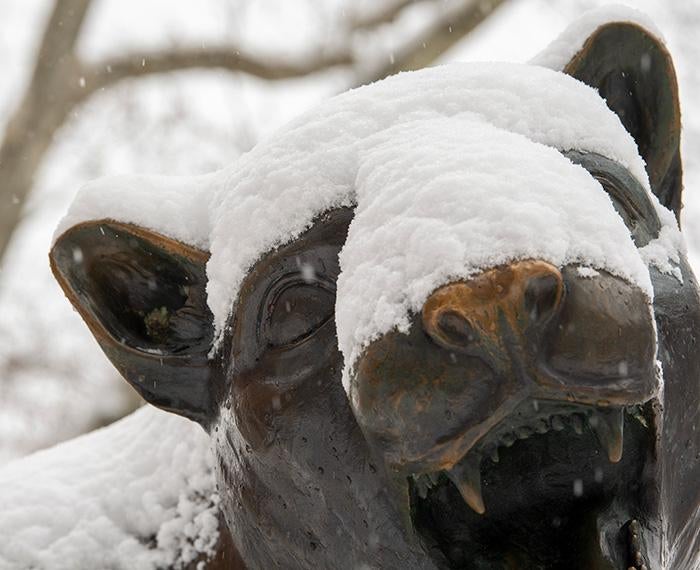 The face of a panther statue, covered in snow