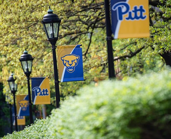 Blue and gold flags show the Pitt script and Panthers logo on alternating lampposts