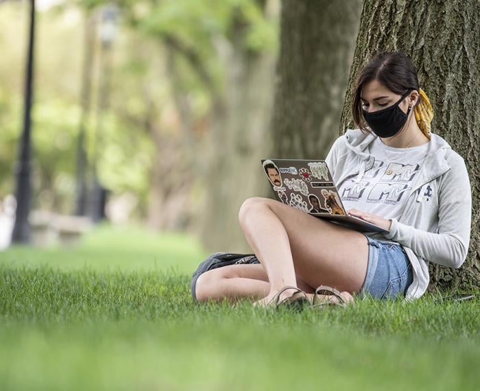 A person in a face mask, a sweater and shorts sitting by a tree, on a laptop