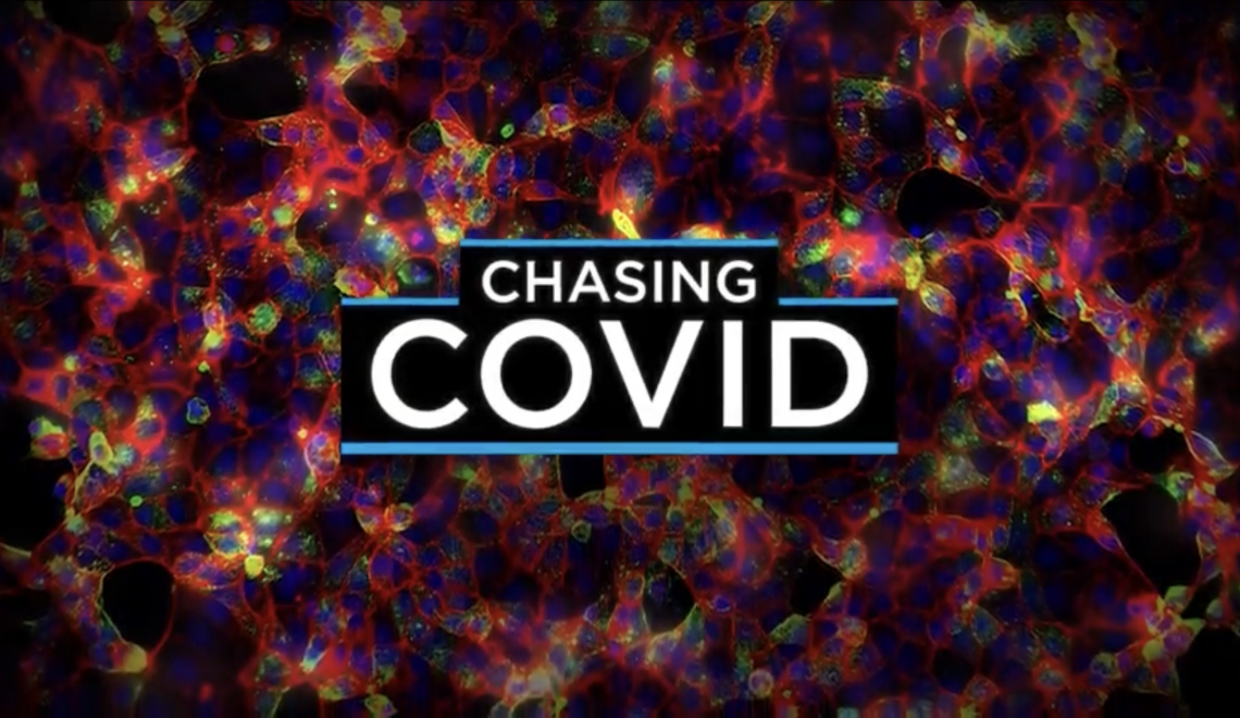 Chasing COVID thumbnail