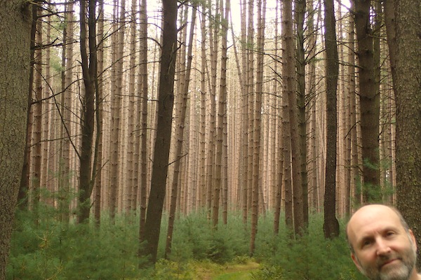 Cook Forest