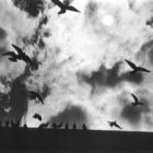 Photo of pigeons over Market Square in Pittsburgh