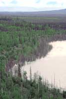 Rising waters flooding and killing trees around Dune Lake, Alaska. Dune Lake is a closed basin lake.