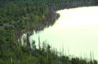 Rising waters flooding and killing trees around Dune Lake, Alaska. Dune Lake is a closed basin lake.