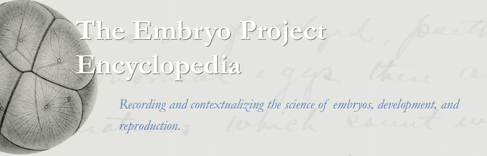 Embryo Project